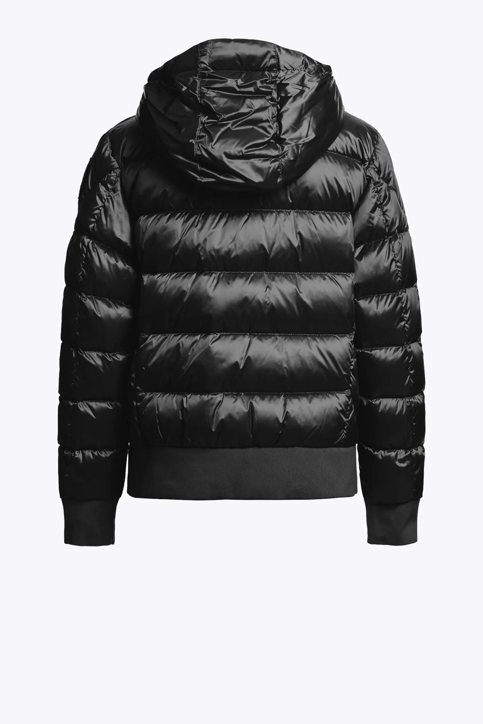 PHARRELL - BOMBERJACKE MIT KAPUZE-Parajumpers Best